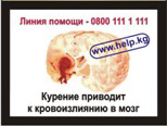 Kyrgyzstan 2008 Health Effects Stroke - brain image, quitline info